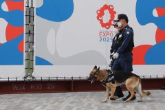 cf057ddeaa174522fad25b9d403309ce