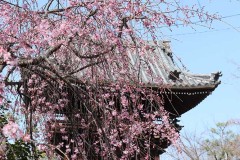 0499608490bc2abea1ec3e9afb9a0a9d