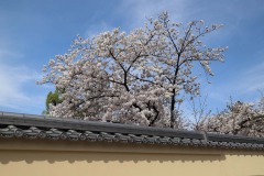 1b4dc52b6d084e8a2f80694bc219aed7