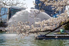 4778862999239b1dbf3aecdf7928e5bc