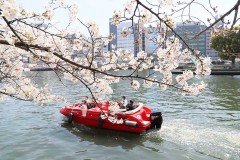 9028ab8a50f1576046b14b653f1b932d