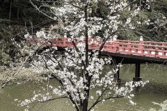 b0baf6c657e25ac70c9f522246256d9d