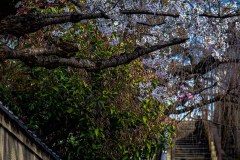 e407f1e0e4ac621b58ae1b694ecb924d