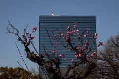 7bc47c1f8e4a7e9f53b7fb1ea3ecfeaa